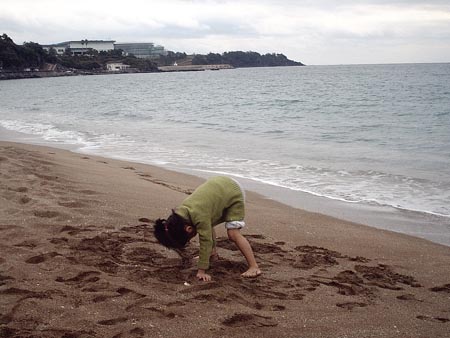 세상을 거꾸로 보면 